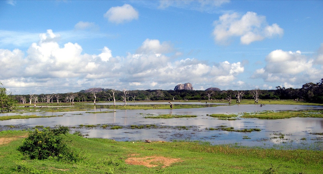Yala lagoon with dead trees in the water and Elephant Rock on the horizon